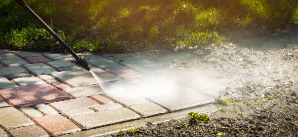 Animal Enclosure Cleaning in Gretna, VA